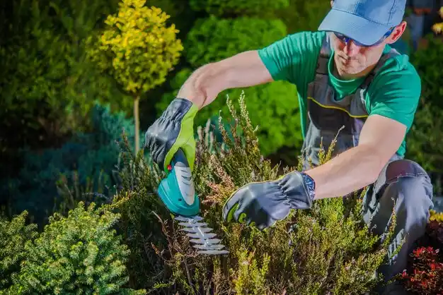 landscaping services Mattapoisett Center